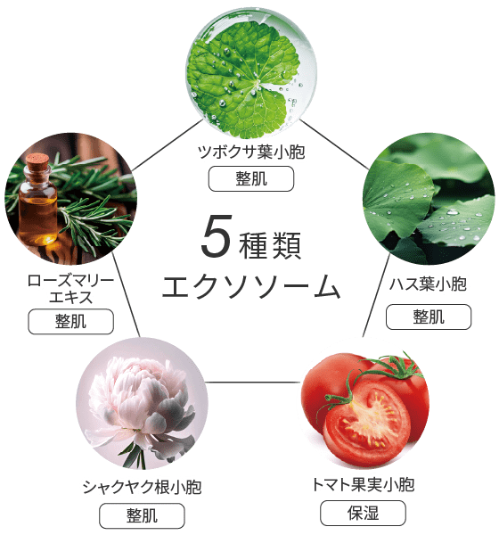 スピケア　V3インテリジェントファンデーション　最新作　公式取扱店　正規品　美容師さんも愛用